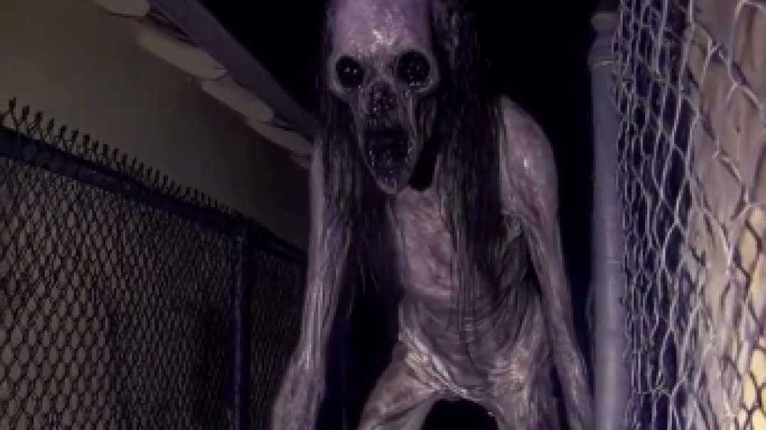Skinny  DreadDrips